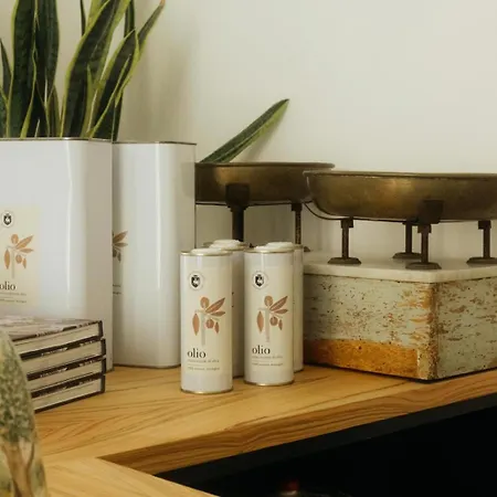 Bed & Breakfast Palazzo Ducale Mongio - Historic